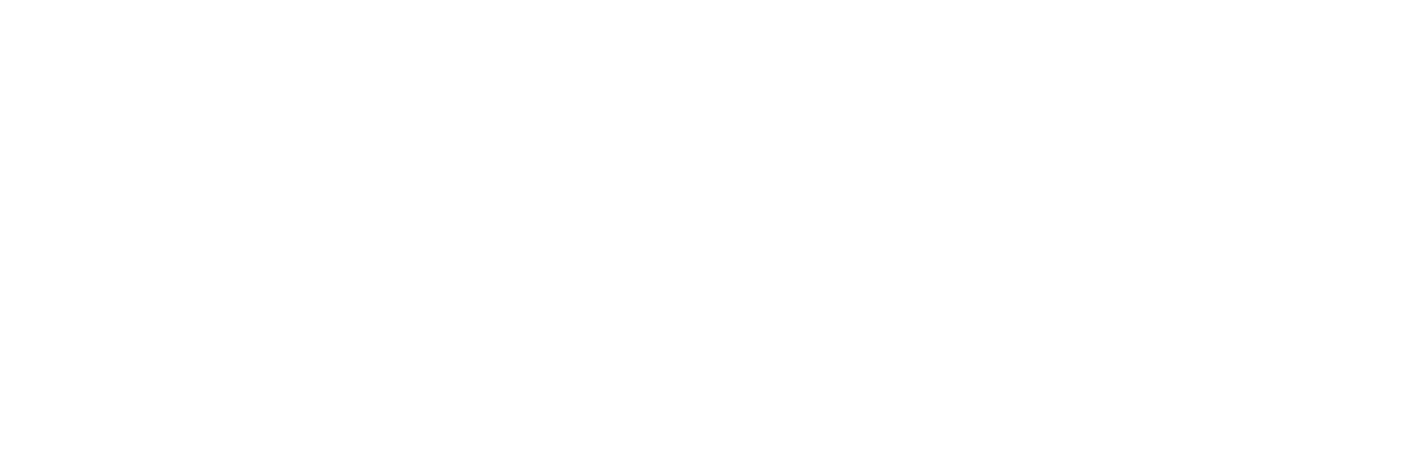 The text "The MADELON" is displayed in white on a green background.